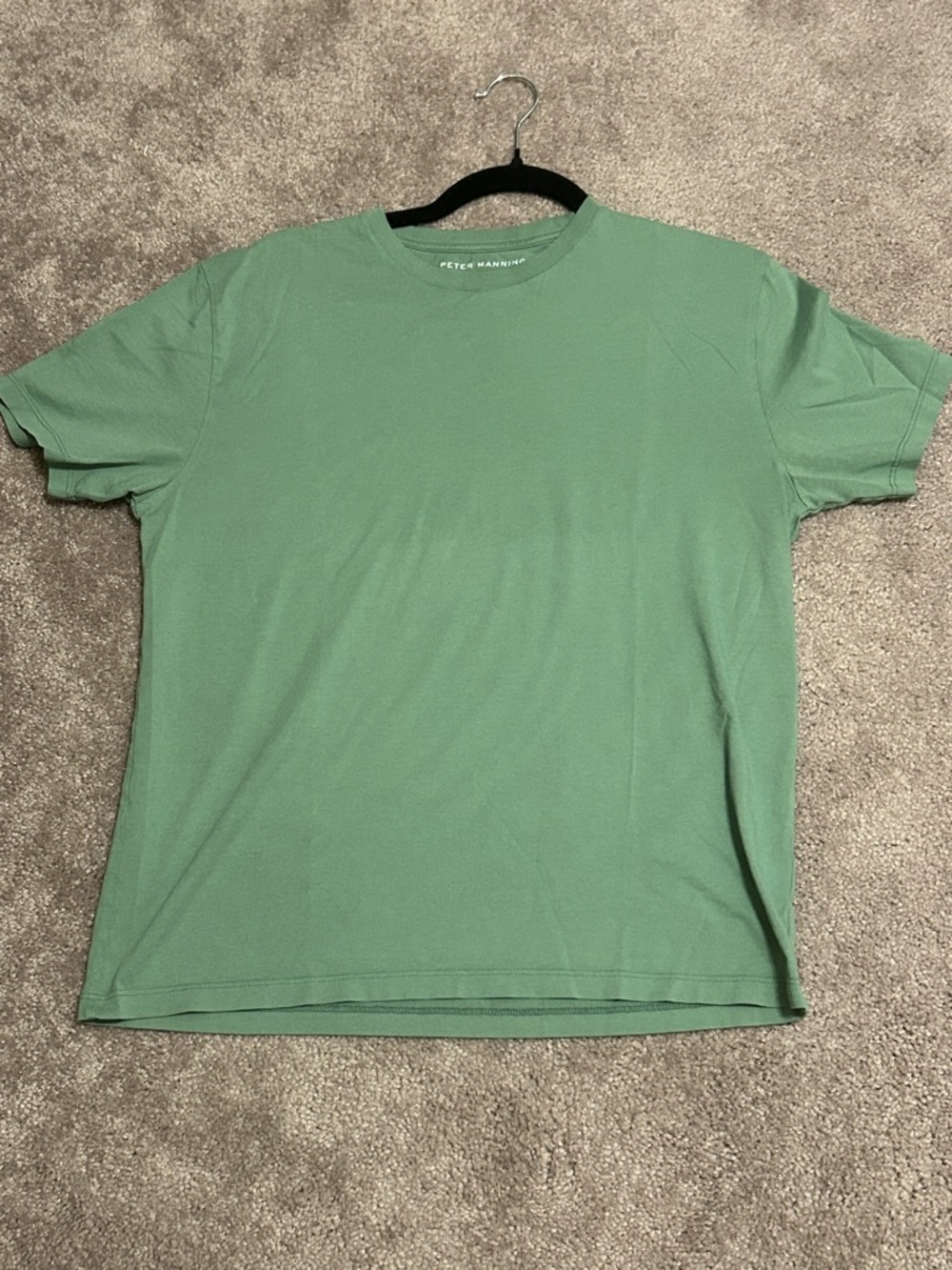 Peter Manning Short Sleeve Crewneck T-Shirt in Sage Green